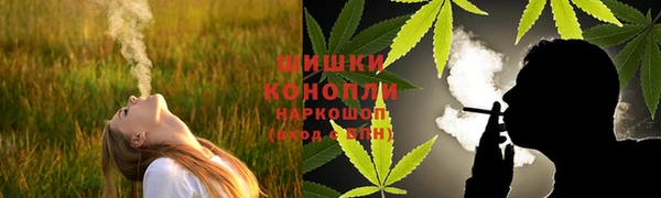 spice Арсеньев