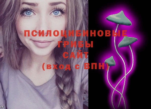 прущий лед Алексеевка